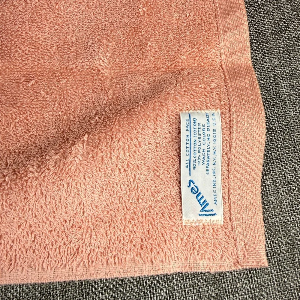Ames Vintage Hand Towels Set of 2 Pink Geometric Border Cotton Blend